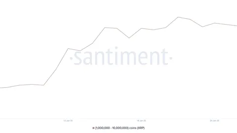 XRP Faces Potential Downside Amid Weak Momentum and Whale Activity as Price Eyes $4 Resistance in February