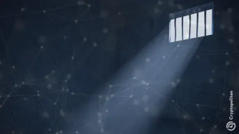 Colorado man pleads guilty to investment fraud scheme