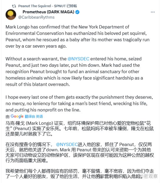 决定美帝命运的，竟然是一只松鼠！ image 3