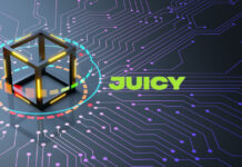 Juicy: Avalanche’s OF Competitor with New Content Monetization