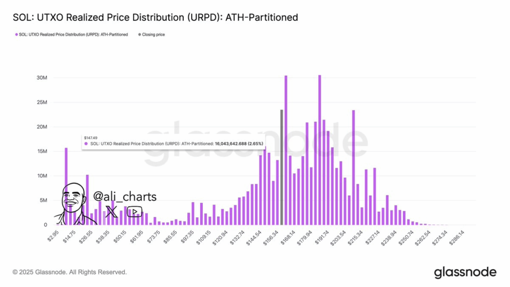 أهم 3 أسباب وراء ارتفاع سعر الريبل XRP وسولانا image 2