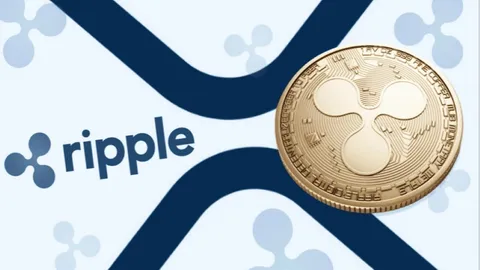 Керівник VanEck вказує на «слабку корисність» XRP, незважаючи на його видимість на ринку