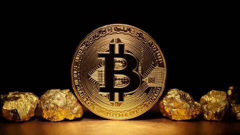Bitcoin Set to Surpass Gold in Market Value, According to SkyBridge Captal Founder