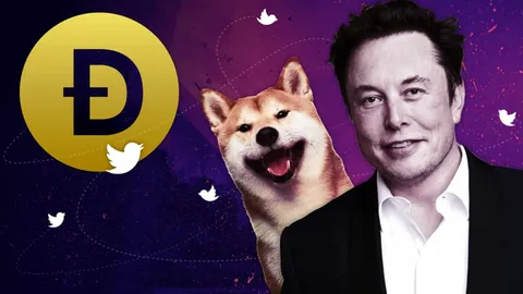 Илон Маск оправдан в групповом иске по делу Dogecoin