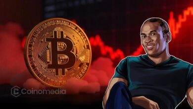 Arthur Hayes Buys Back Into Crypto Market