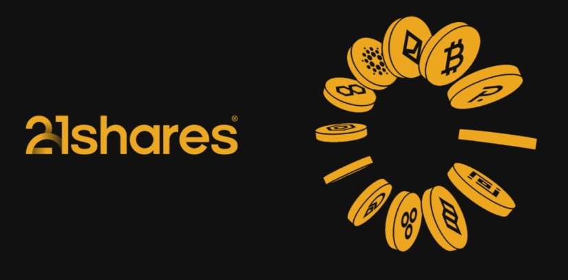 La Adopción de Dogecoin Se Acelera Con el Debut Público de House of Doge image 1