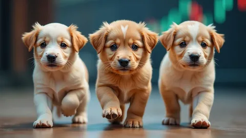 Tin tức meme coin: Giá FLOKI giảm 17%, dòng tiền rút 270 triệu SHIB cho thấy niềm tin của nhà đầu tư