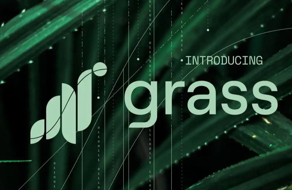 Grass空投上线却被「反撸」?一览详情及代币估值