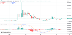 Onyxcoin (XCN) Jumps 30% amid Market Recovery: Analyst Sees 3x Surge