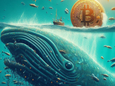 Tin vắn Crypto 11/04: Cá voi tiến hành tích luỹ lượng lớn Bitcoin cùng tin tức NFT, Block