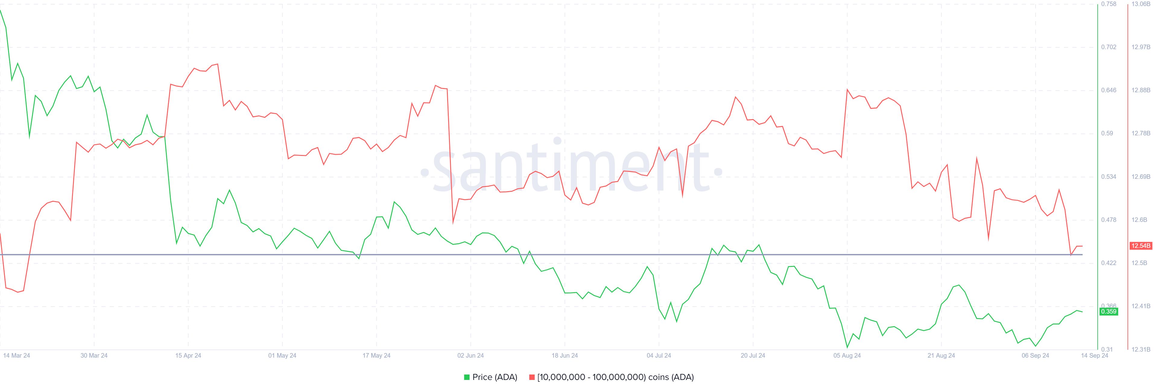 Цена Cardano может вырасти на 40%, несмотря на недавнюю продажу 140 млн ADA image 0