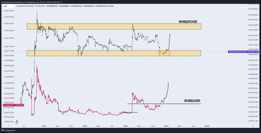 Le graphique haussier de Shiba Inu attire l’attention, une société d’investissement s’attend à ce que SHIB dépasse Dogecoin en 2025 image 0