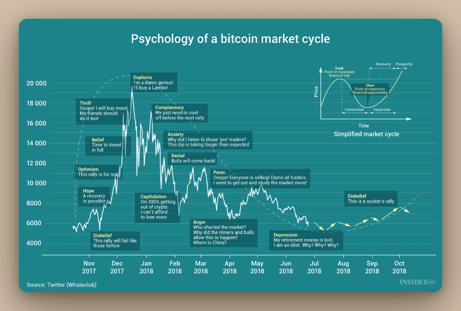$BTC 在每次美国大选后暴涨：你准备好了吗？ image 1