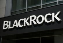 Neuer BlackRock-Fonds soll Marktstandards setzen