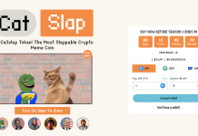 Catslap Coin News: 100k Leaderboard Reveal am 14. Januar, darum entscheiden sich Dip Buyer für SLAP