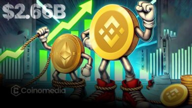 BNB Chain Tops Ethereum in DEX Volume with $2.66B Surge