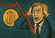 Droht Bitcoin ein 70-prozentiger Absturz im nächsten Bärenmarkt?
