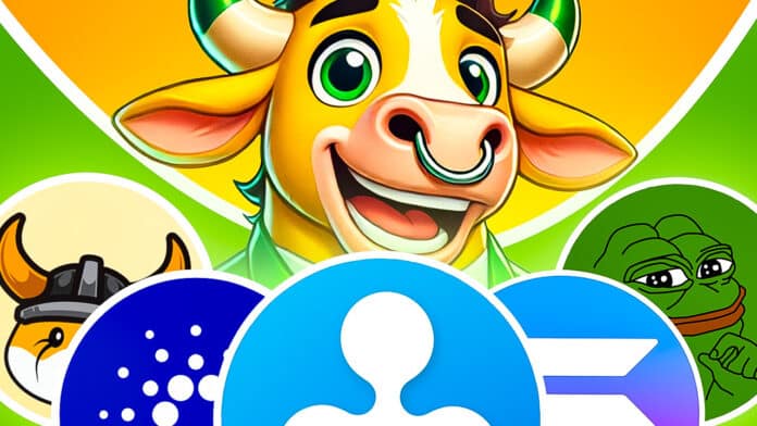 Krypto News: XRP, ADA, PEPE, FLOKI & SOL durchbrechen mehrmonatige Konsolidierung – Forscher sehen „volle Altcoin-Saison“ image 0
