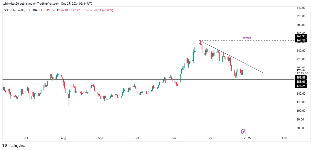 Solana’s Future Hinges on Key Support Levels Amidst Mixed Market Activity image 2