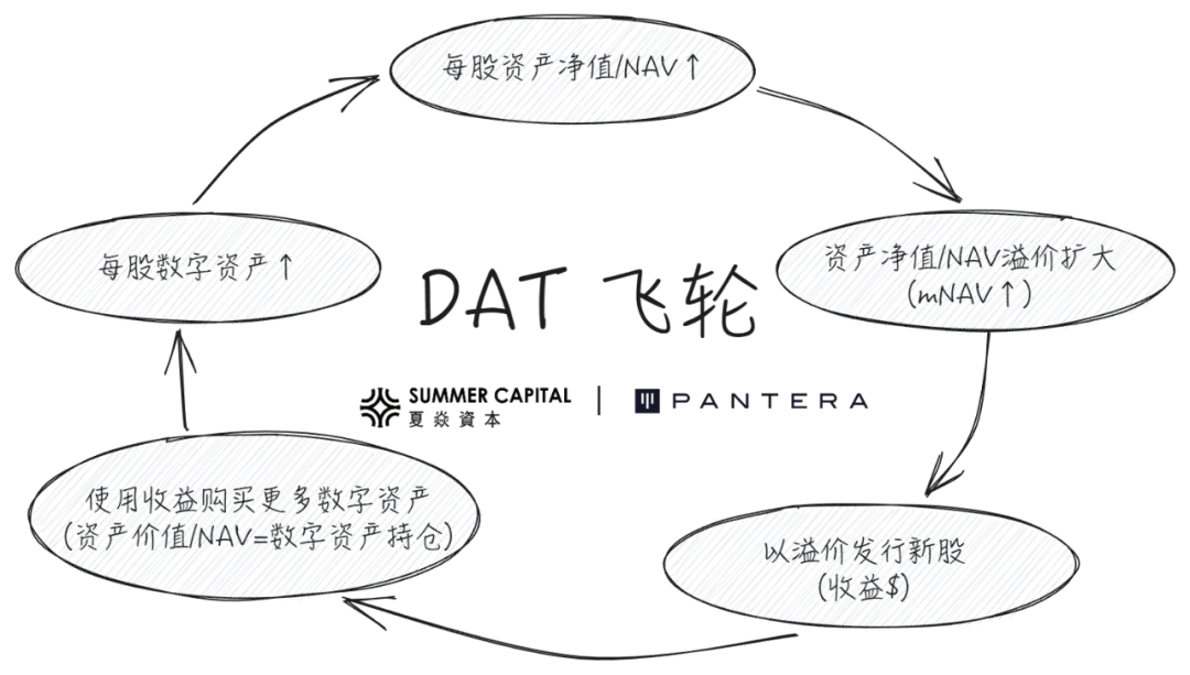 Phân tích DAT: Ngoài mNAV, làm thế nào để nhận biết