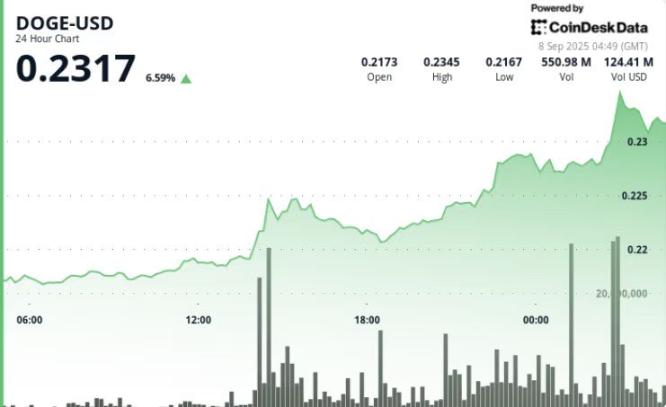 Lonjakan Dogecoin (DOGE): Apakah Ini Waktu yang Tepat untuk Berinvestasi? image 0