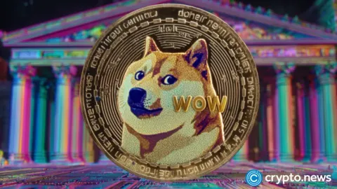 Thumzup planuje gospodarkę twórców opartą na Dogecoin
