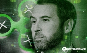 Ripple CEO Brad Garlinghouse Discusses $125 Million SEC Fine and Payments in XRP