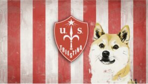House of Doge Resmi Akuisisi Klub Sepak Bola Italia, US Triestina Calcio 1918!