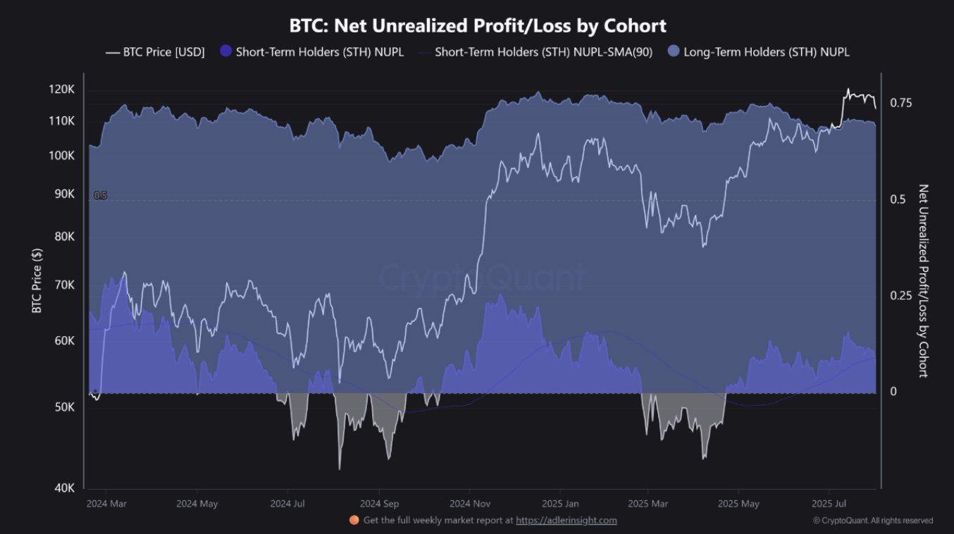 Le graphique des prix du bitcoin a chuté de 4 %, mais sur la chaîne, la demande des détenteurs est en hausse de 160 000 BTC image 5