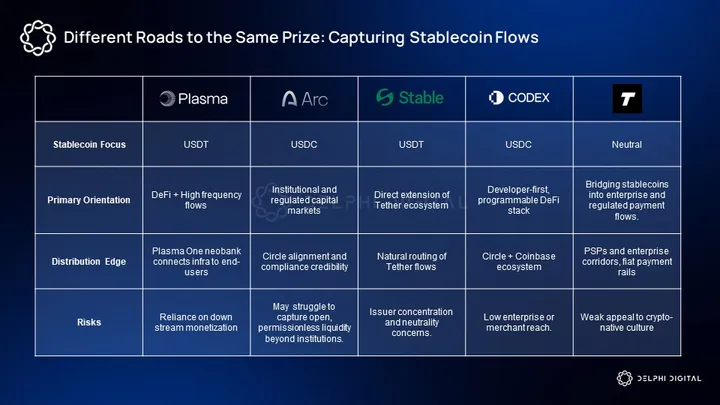 Delphi Digital Research Report: Plasma, Targeting Trillion-Dollar Market Opportunities image 6