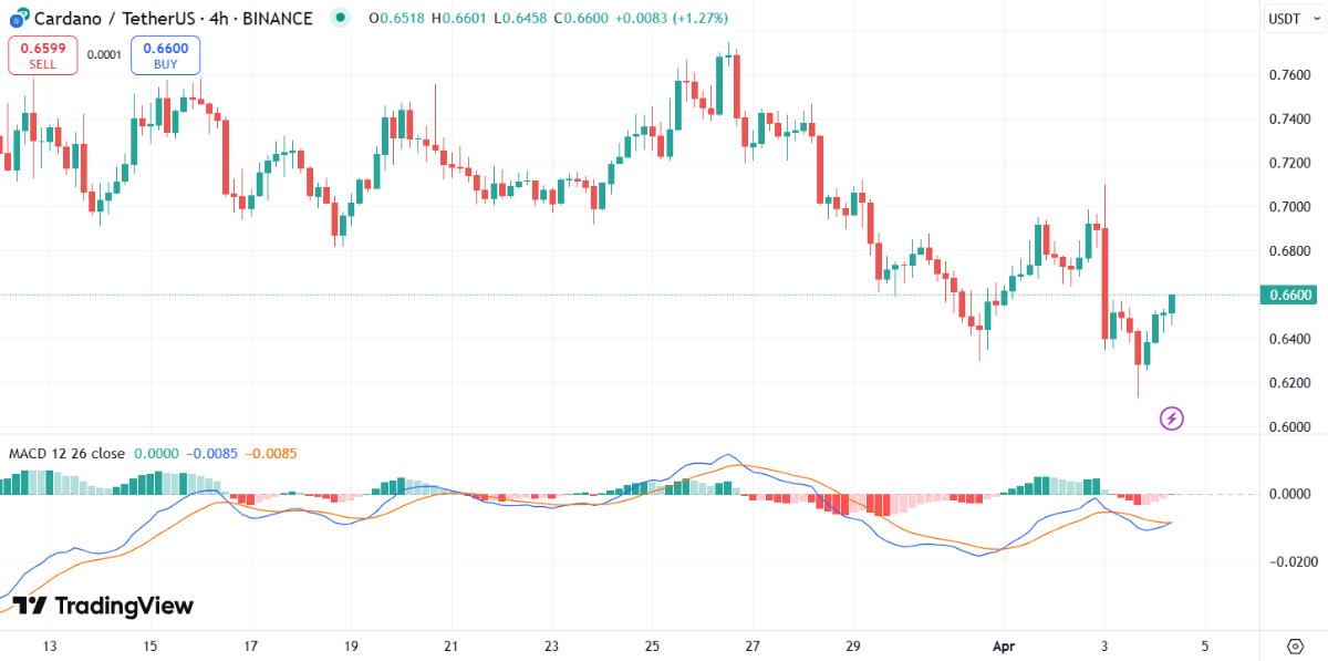 Cardano (ADA) to $1? Analyst Eyes This Support Level