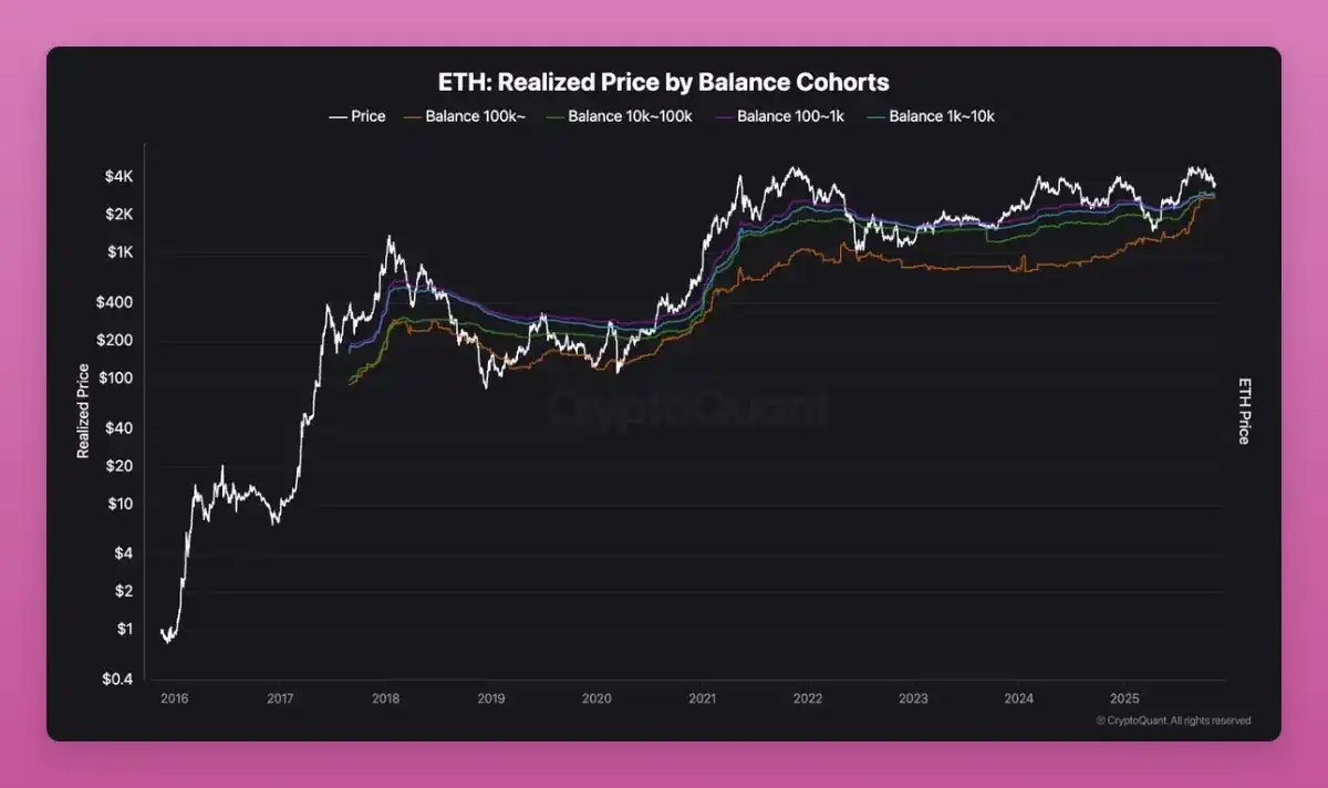 Qayta Tasavvur Qilinayotgan Konsolidatsiya: Top Coin Katta Investorlar O'rtasida Ta'minot Qayta Taqsimlanmoqda image 8