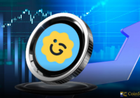 GIGGLE惊现“过山车”行情:BSC生态的脆弱真相