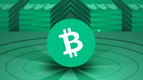 Arthur Hayes: Cryptocurrency may get rid of the downturn in September, and 2025 will be a brilliant crypto bull market