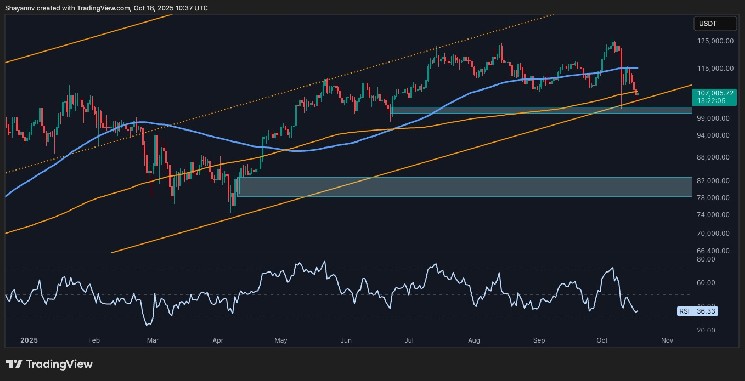 Bitcoin Price Analysis: First Bearish Signs Appear as BTC Falls by $20K From ATH image 0