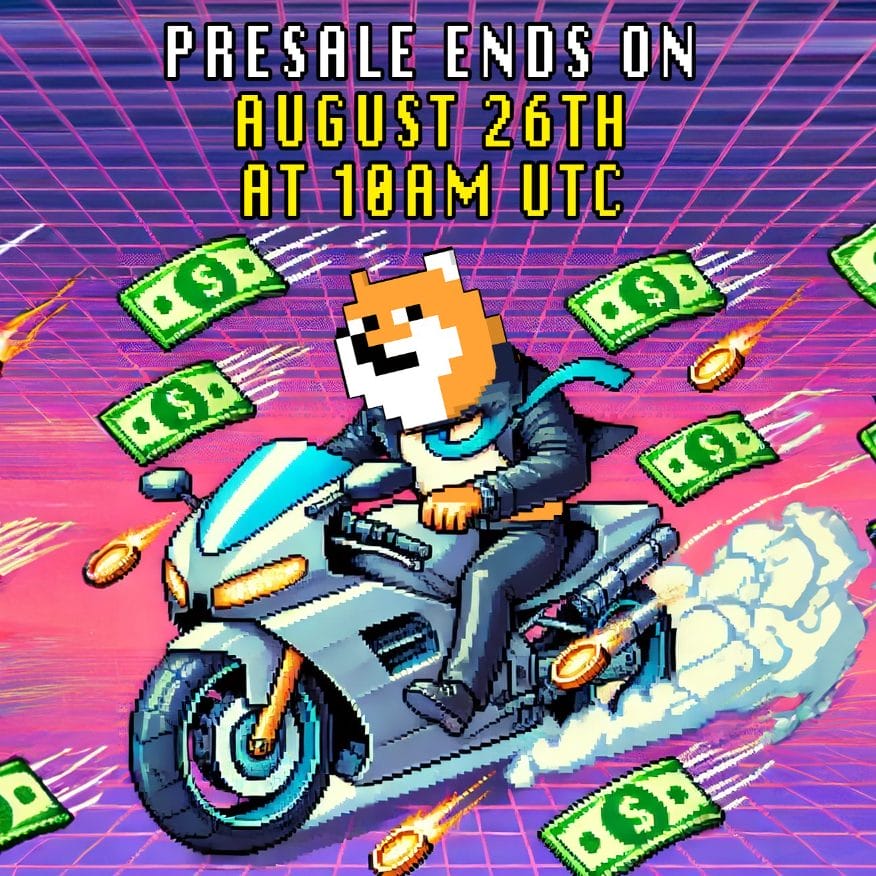 PlayDoge Enters Final 6 Days of Sellout Presale, Reveals More P2E Game Footage image 0