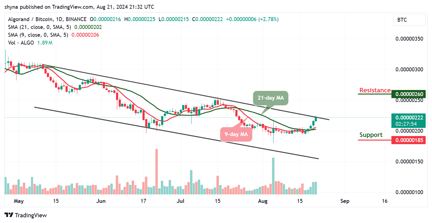 Algorand Price Prediction for Today, August 21 – ALGO Technical Analysis image 3