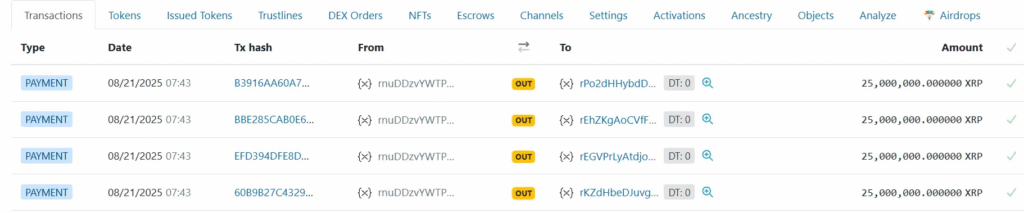 محلل شهير يقول إن سعر الريبل XRP جاهز للانتعاش، والحوت يشتري 300 مليون دولار image 2