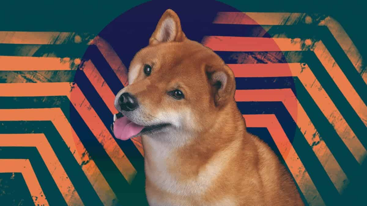 Lengan korporat baru Dogecoin Foundation meluncurkan cadangan DOGE dengan pembelian 10 juta token image 0