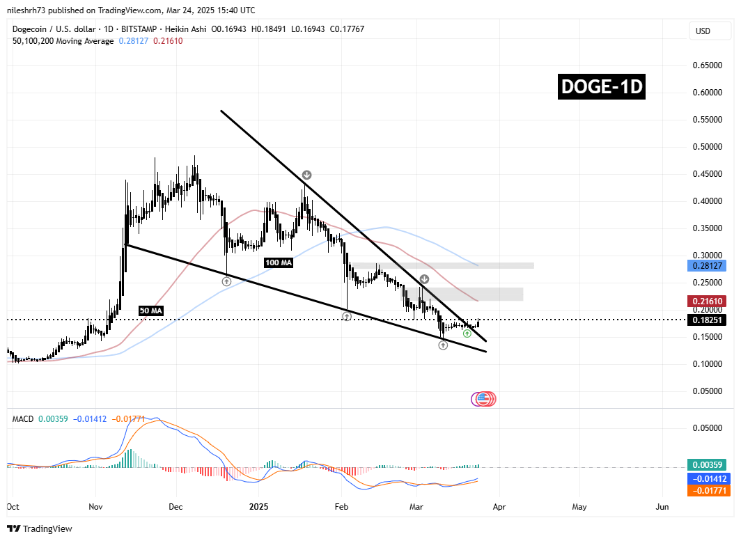 DOGE Gains Momentum Following Key Breakout – Is PEPE Gearing Up For A Similar Move? image 1