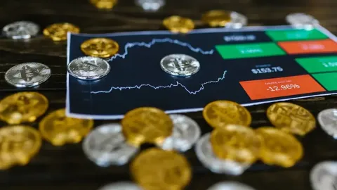 Crypto Whales Are Getting Ready for a Bull Market – Here’s What They’re Buying