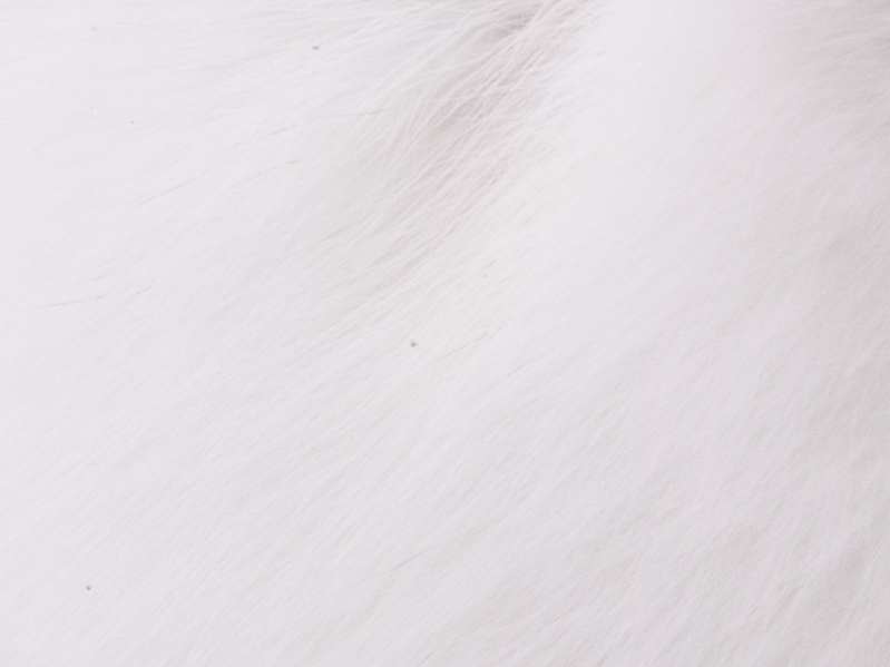 美股异动 | 安森美半导体(ON.US)涨超6.4% 与英诺赛科达成战略合作