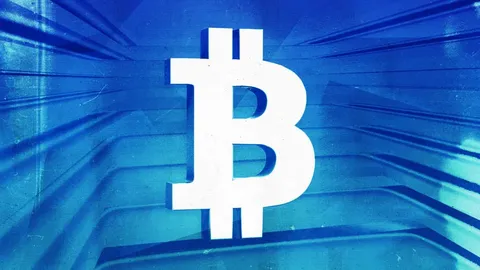 Биткоин превышает 106 000 долларов на фоне «оптимистичных, но сдержанных» настроений трейдеров