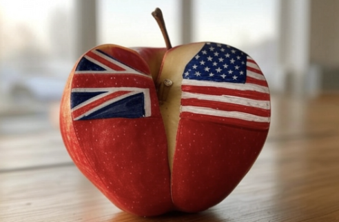 英國要求 Apple 提供用戶數據!美國政府震怒,引爆資安危機 image 0