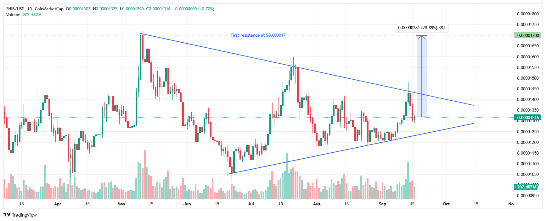 Shiba Inu price prediction after the Shibarium Hack: critical support tested image 1