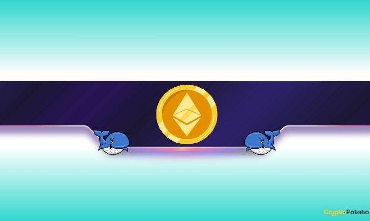 220,000 ETH in 48 Hours: Ethereum Price Rally on the Way?
