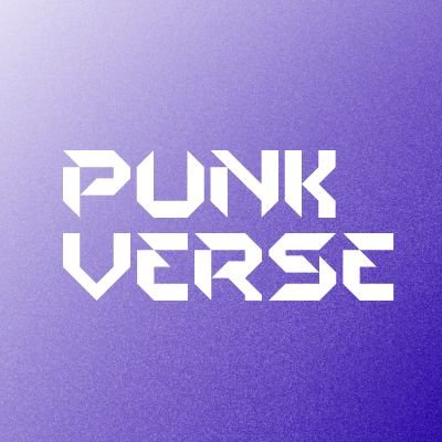 PunkVerse: A Capital Signal Behind the Global Rise of Experience Assetization