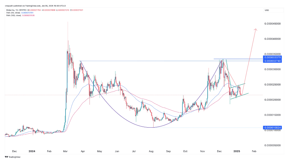 Le prix du Memcoin Shiba Inu pourrait baisser encore de 50 % dans un avenir proche image 0