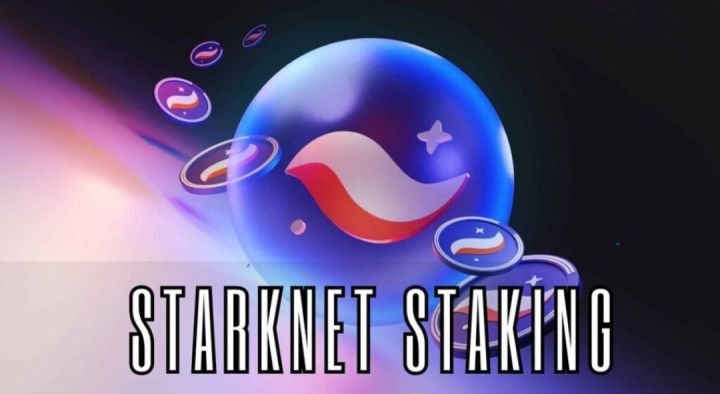 Starknet chuẩn bị cuộc bỏ phiếu staking đầu tiên dành cho các holder $STRK