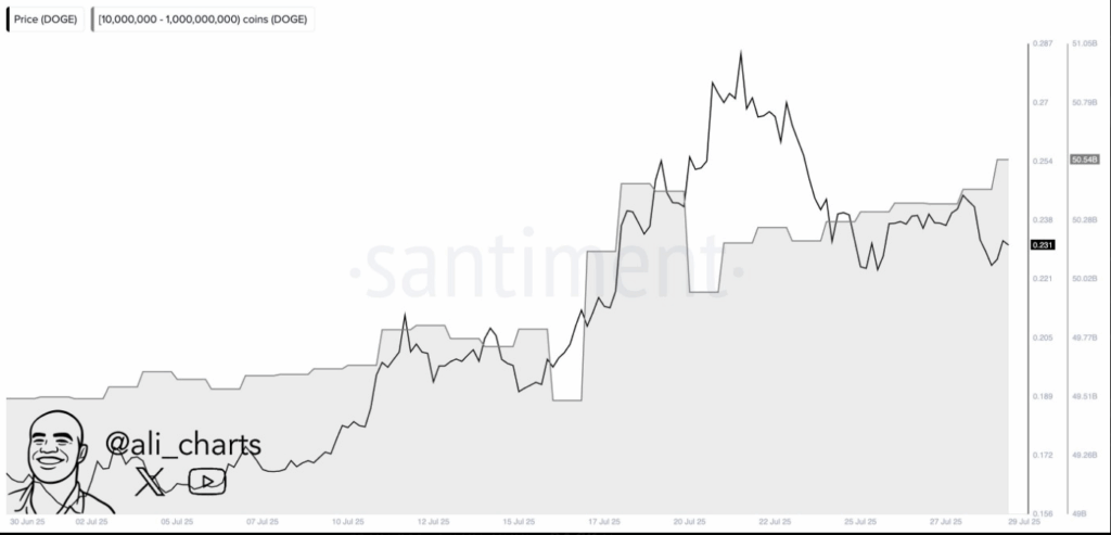 ¿El precio de Dogecoin rompe el patrón de doble fondo y llega a 0,41 $? image 2